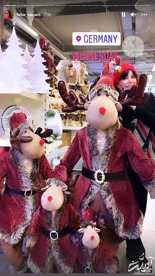 فلور نظری صورتش را کوبید و از نو ساخت ! + ویدیو خانم بازیگر در اروپای سرد